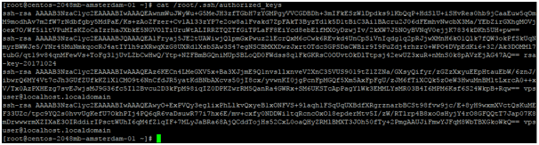 SSH-command copy key as a new string on VPS server