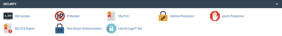 cPanel Security