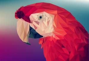 Graphic Design Parrot