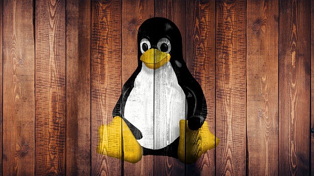 Why is Linux Shared Hosting the Better Choice