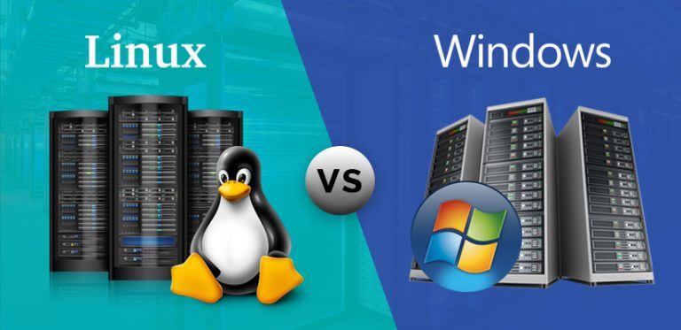 Linux and Windows OS
