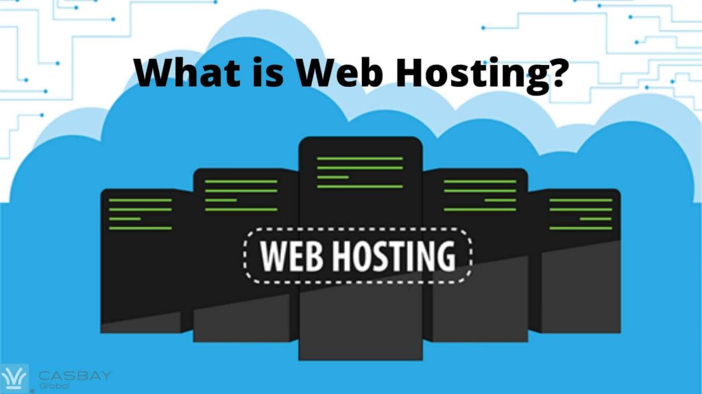 what is web hosting