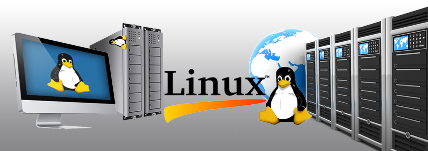 linux vps hosting