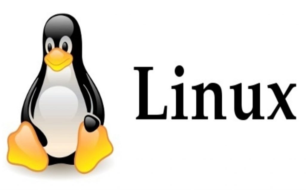 7 Useful Linux Commands
