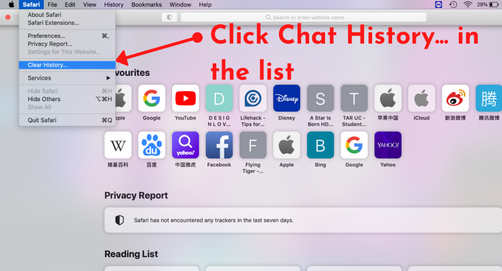 clear history in safari