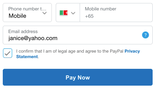 paypal checkout with pay now button