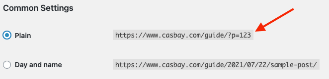 permalink in wordpress common settings