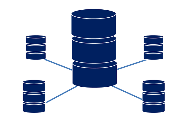 Linux VPS Server database