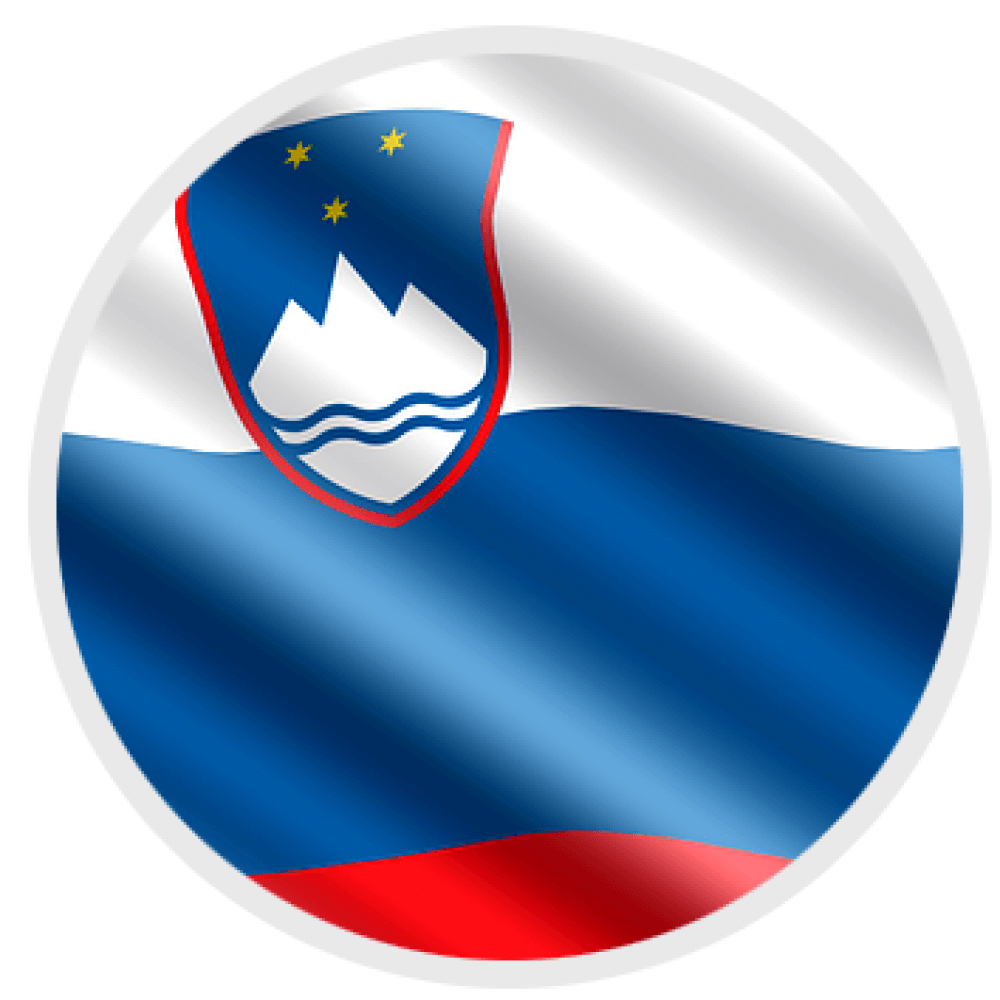 si-flag-logo