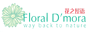 Client Reviews 12 floral damora logo 1