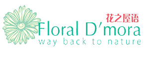 floral damora logo 1