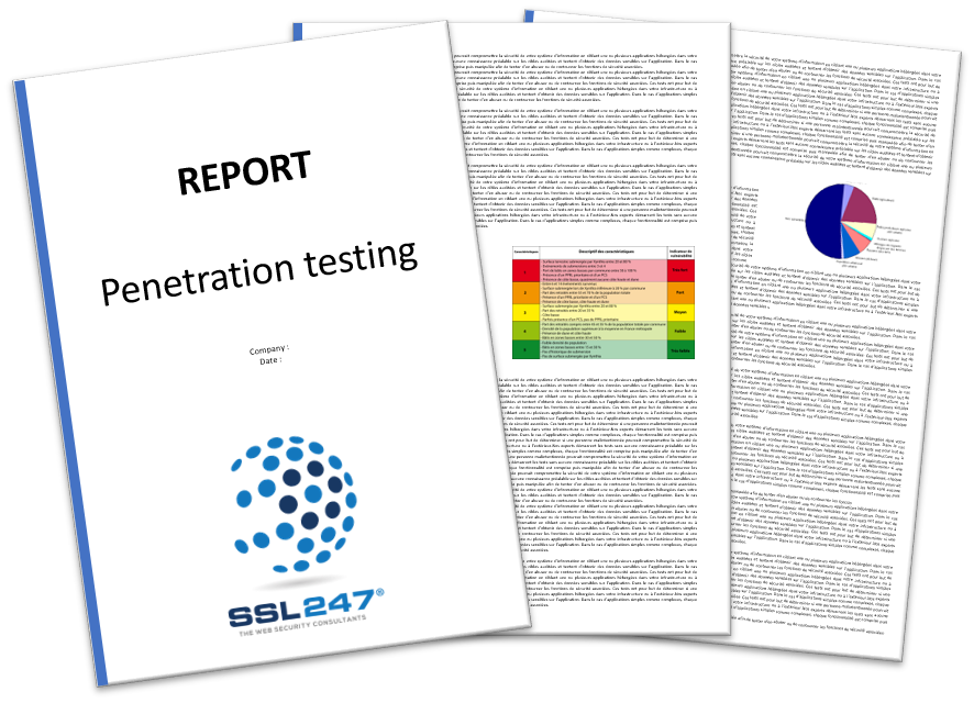 Penetration Testing Report Sample